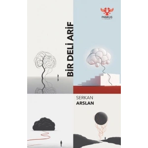 Bir Deli Arif