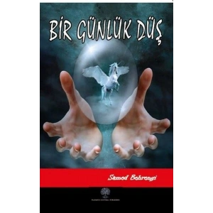 Bir Günlük Düş