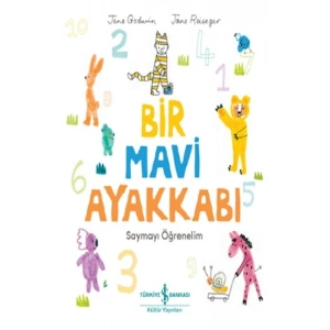 Bir Mavi Ayakkabı