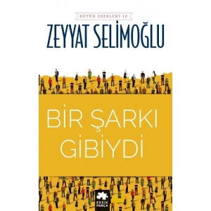 Bir Şarkı Gibiydi