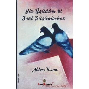 Bir Üşüdüm ki Seni Düşünürken