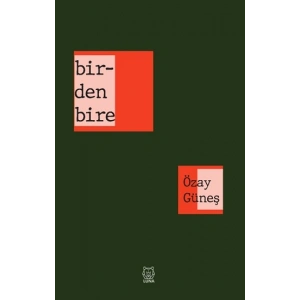 Birdenbire