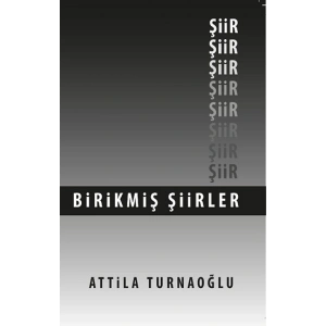 Birikmiş Şiirler