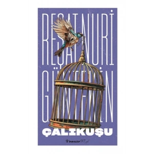 Çalıkuşu (Yeni Kapak)