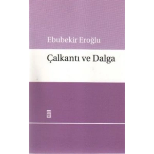 Çalkantı ve Dalga