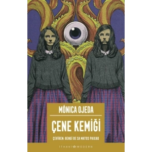 Çene Kemiği