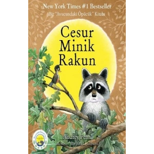 Cesur Minik Rakun
