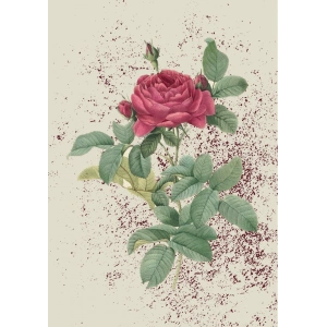 Çiçek - 2 / Kartpostal