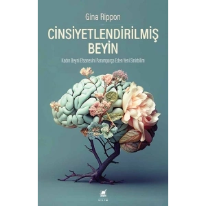 Cinsiyetlendirilmiş Beyin