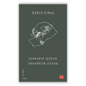 Çırpınıp İçinde Döndüğüm Dünya