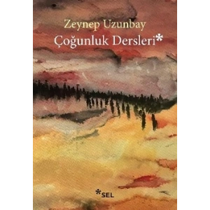 Çoğunluk Dersleri