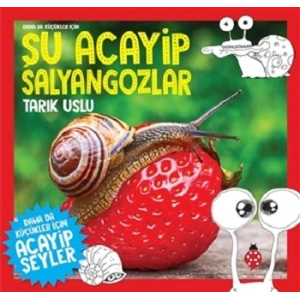 Daha da Küçükler İçin Şu Acayip Salyangozlar