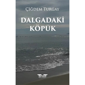 Dalgadaki Köpük