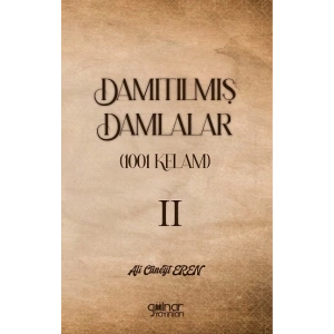 Damıtılmış Damlalar (1001 Kelam) II