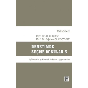 Denetimde Seçme Konular 6