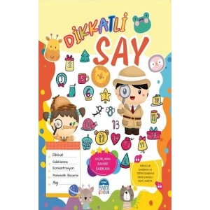 Dikkatli Say