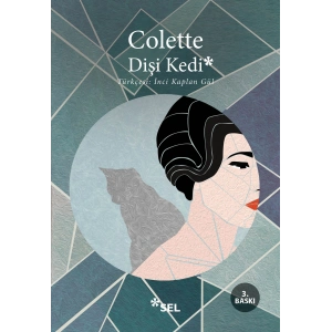 Dişi Kedi