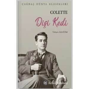 Dişi Kedi