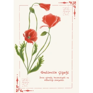 Gelincik Çiçeği / Kartpostal