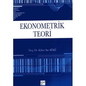Ekonometrik Teori