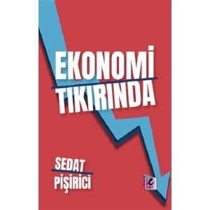 Ekonomi Tıkırında