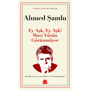 Ey Aşk, Ey Aşk! Mavi Yüzün Görünmüyor