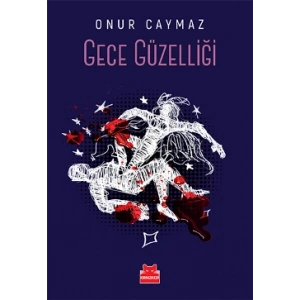 Gece Güzelliği