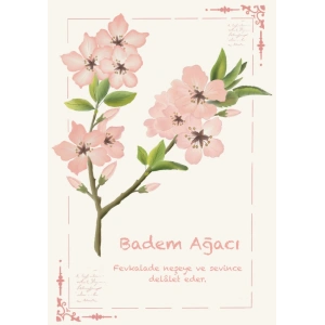 Badem Ağacı / Kartpostal