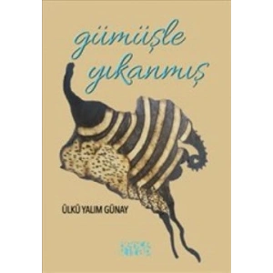 Gümüşle Yıkanmış