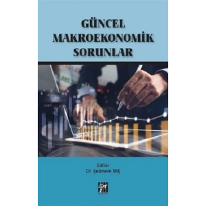 Güncel Makroekonomik Sorunlar