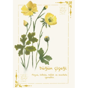 Düğün Çiçeği / Kartpostal