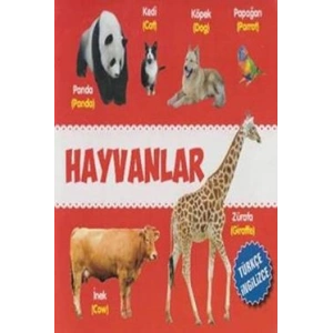 Hayvanlar Türkçe-İngilizce