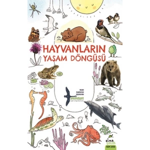 Hayvanların Yaşam Döngüsü