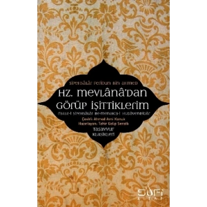 Hz. Mevlanadan Görüp İşittiklerim