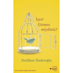 İçeri Girmez miydiniz ?