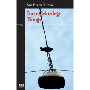 İncir Çekirdeği Yanığı