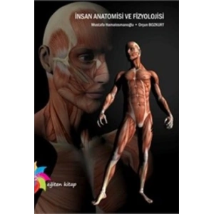 İnsan Anatomisi ve Fizyolojisi