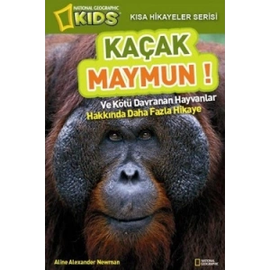 Kaçak Maymun