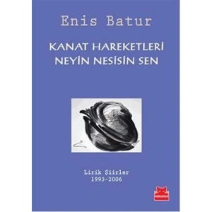 Kanat Hareketleri - Neyin Sesisin Sen