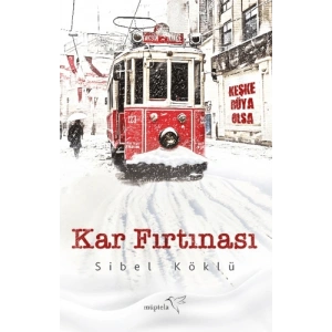 Kar Fırtınası
