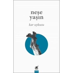 Kar Uykusu