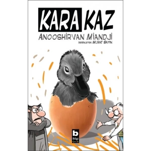 Kara Kaz