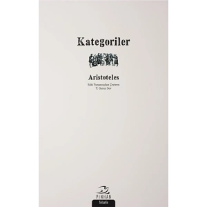 Kategoriler