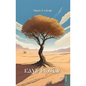 Kayıp Rüzgar
