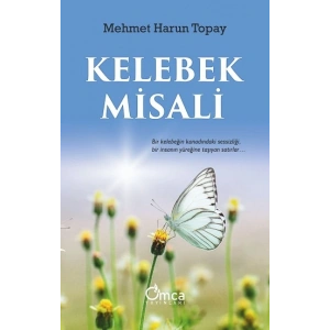 Kelebek Misali