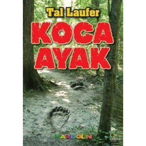 Koca Ayak