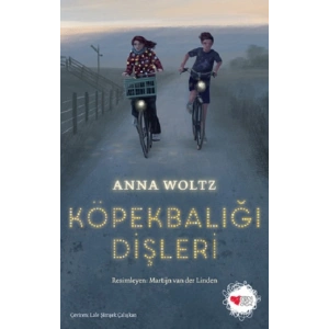 Köpekbalığı Dişleri