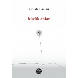 Küçük Anlar