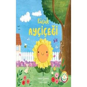 Küçük Ayçiçeği