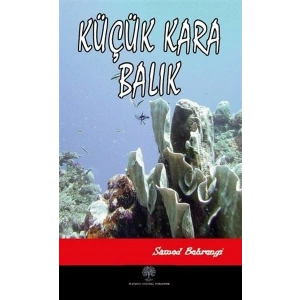 Küçük Kara Balık